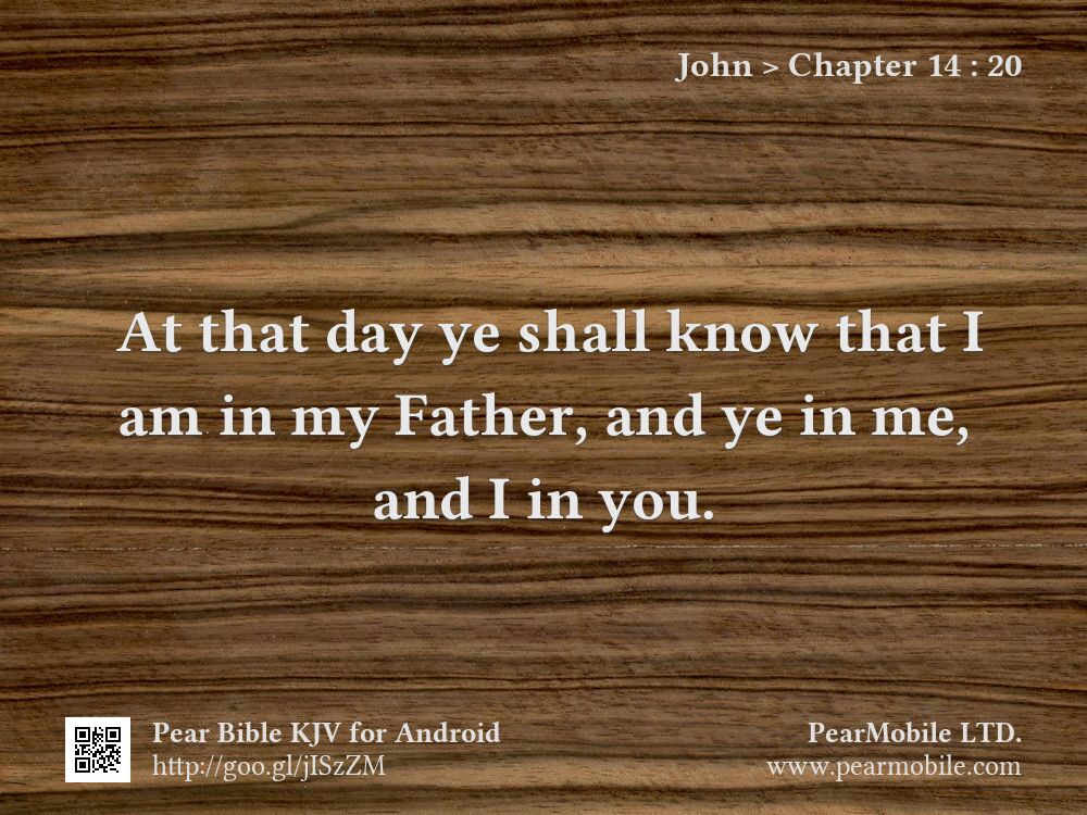 John, Chapter 14:20